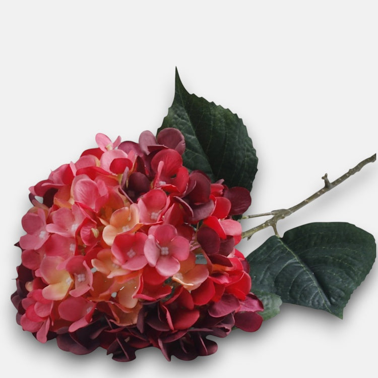 Hortensia Kauneus - Tekokukat.fi