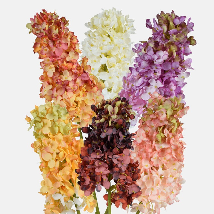 Hortensia Sekoita - Tekokukat.fi