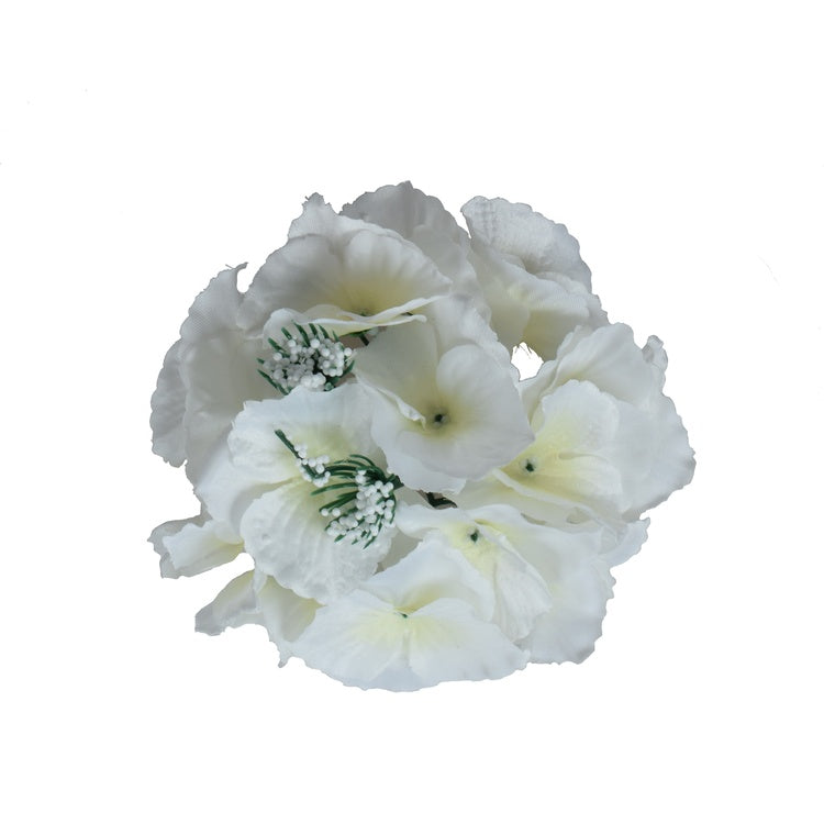 Hortensia Kerma - Tekokukat.fi