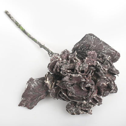 Hortensia tekokukka ruskea