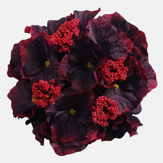 Hortensia Burgundia - Tekokukat.fi