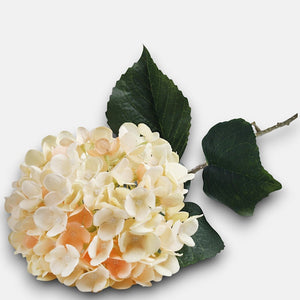 Vaalean keltainen/persikka