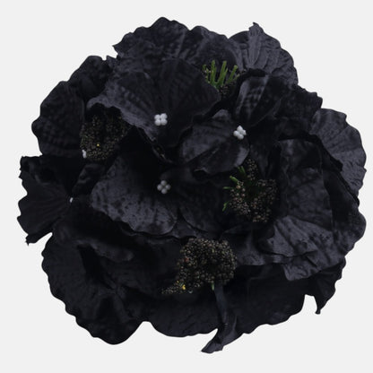 Hortensia Musta - Tekokukat.fi