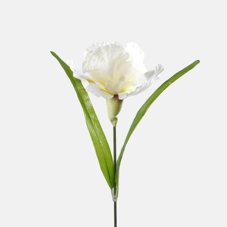 Iiris tekokukka valkoinen