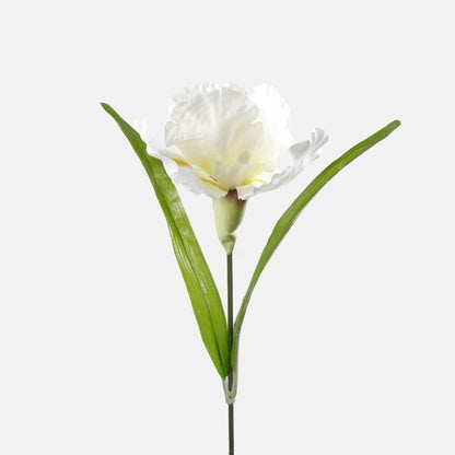 Iiris tekokukka valkoinen