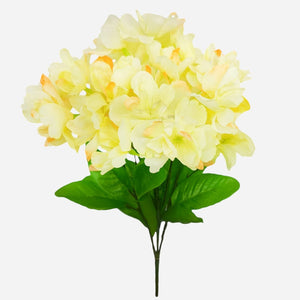 Vaalean keltainen/oranssi reuna