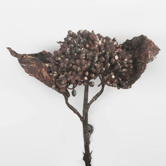 Heisi tekokukka burgundy/musta - Tekokukat.fi