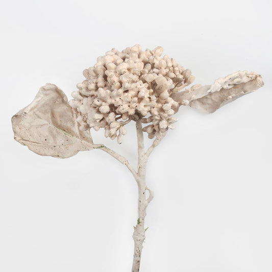 Heisi tekokukka kerma - Tekokukat.fi