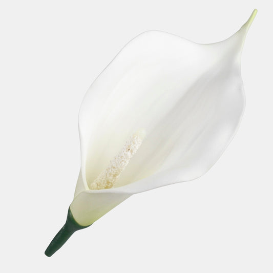 Minivaahto calla Kerma/vihreä - Tekokukat.fi