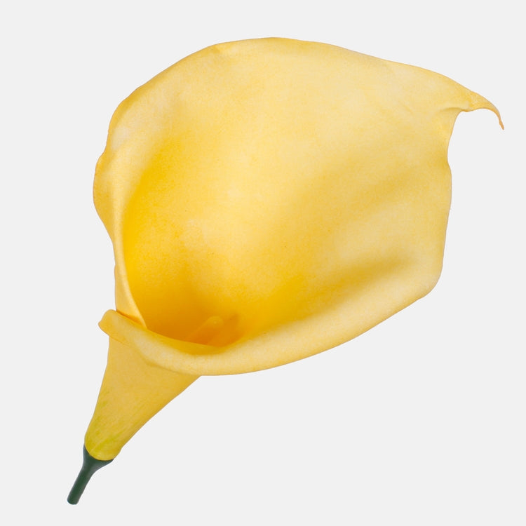 Vaahto calla Keltainen - Tekokukat.fi