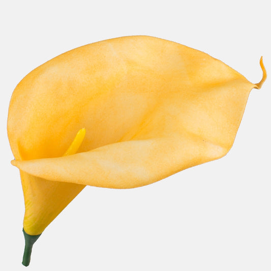 Vaahto calla Keltainen - Tekokukat.fi