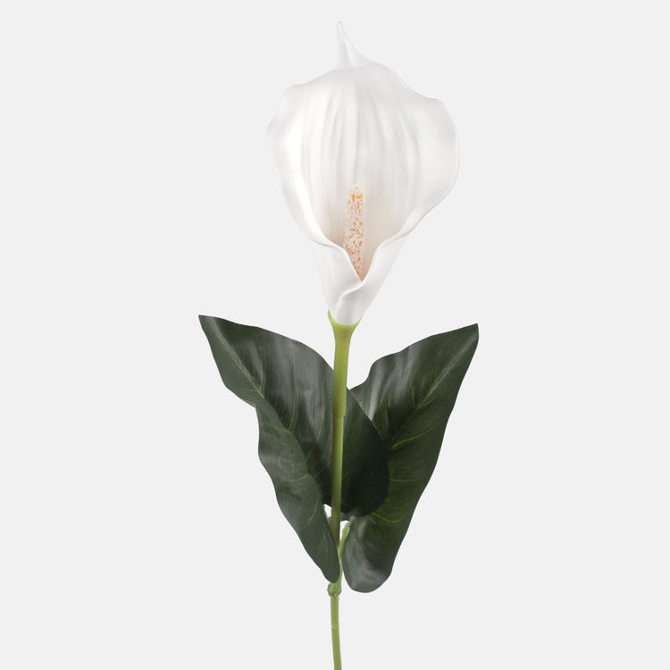 Calla tekokukka puhdas valkoinen