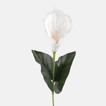 Calla tekokukka puhdas valkoinen