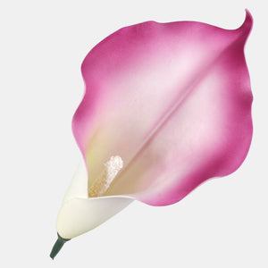 Violetti/kerma/vihreä