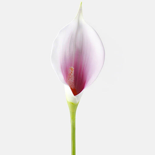 Calla tekokukka lila/kerma - Tekokukat.fi