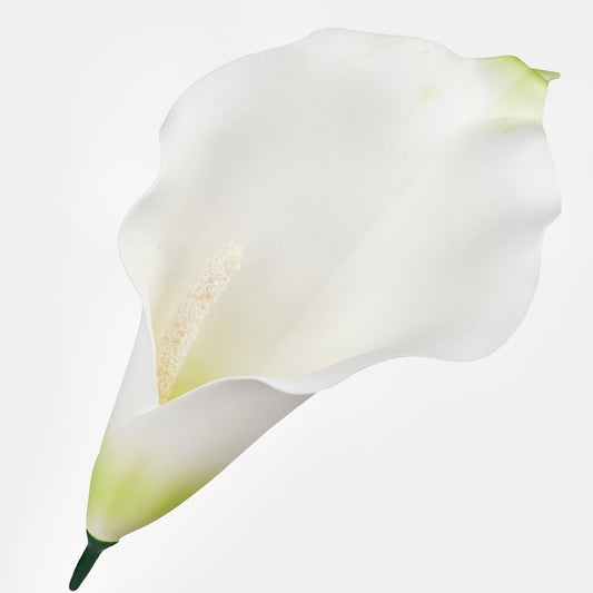 Calla Kerma/Lt. Vihreä - Tekokukat.fi