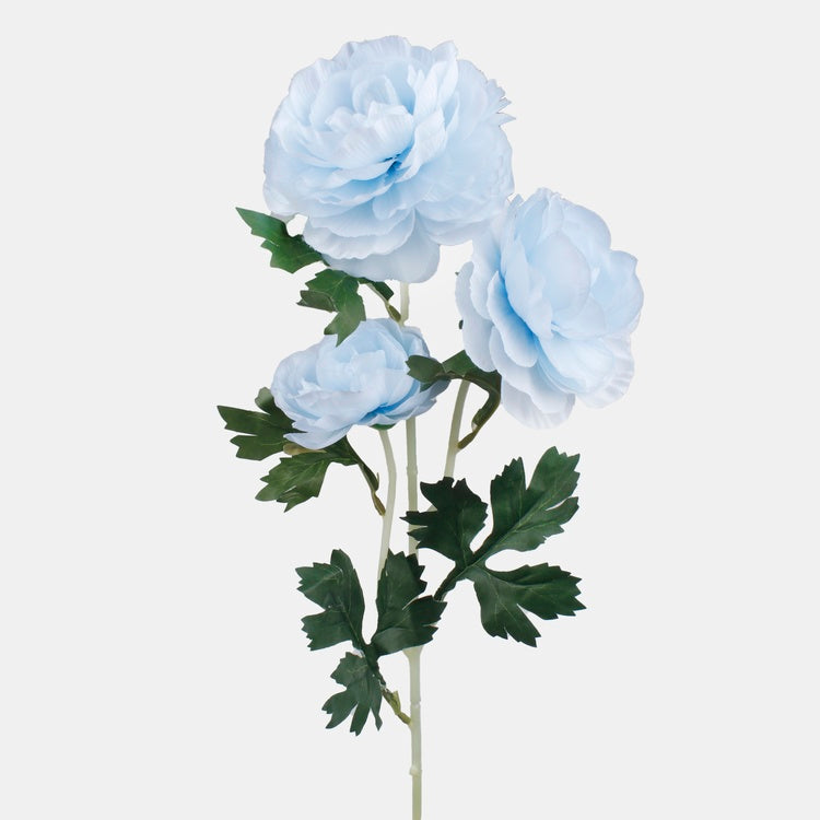 Camellia x 3 tekokukka lt blue