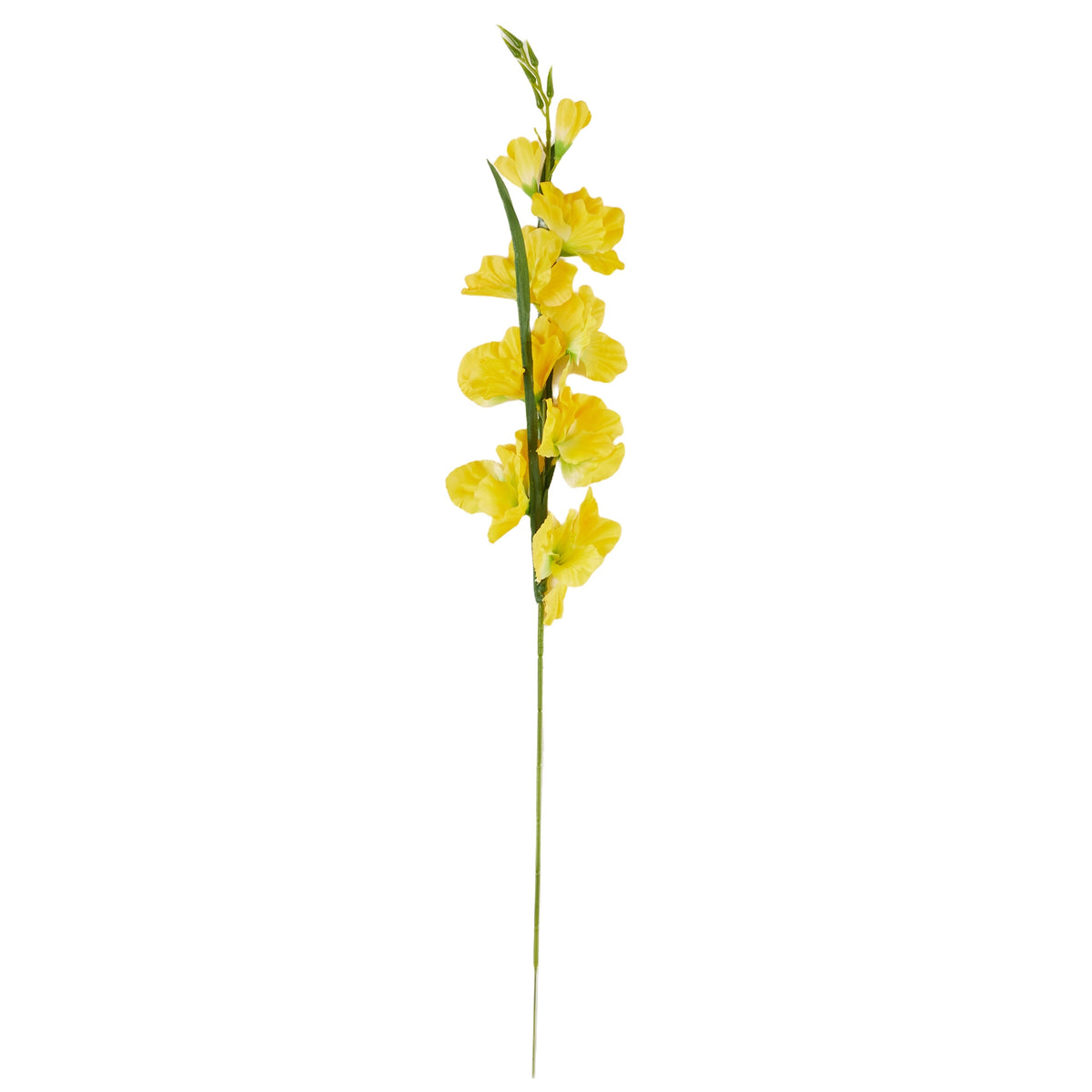 Keltainen gladiolus – tekokukka