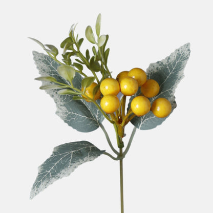 Keltainen puksipensas – koristeoksa, 40 cm