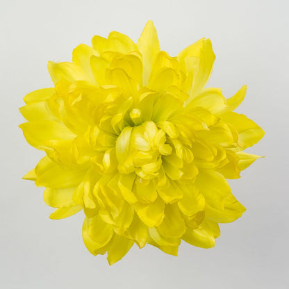 Keltainen tekodaalian kukkapää, satiini, 17 cm, 12 kpl