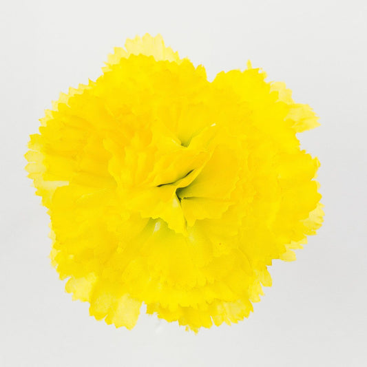 Keltainen tekoneilikan kukkapää, 6 cm, 12 kpl