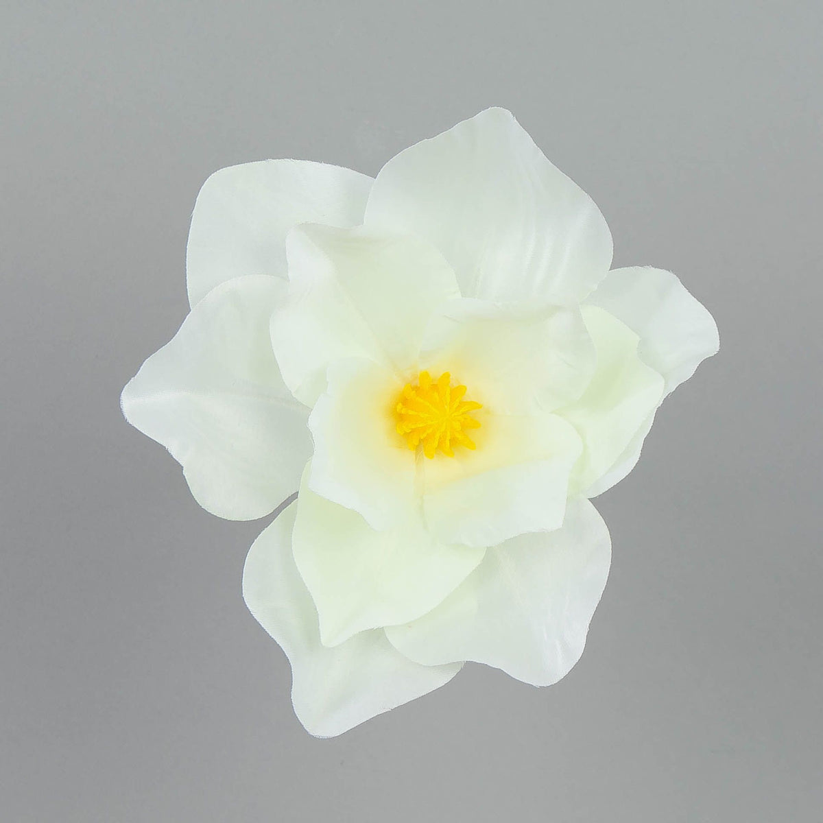 Kermanvärinen magnolia – tekokukkapää, 6 cm, 12 kpl