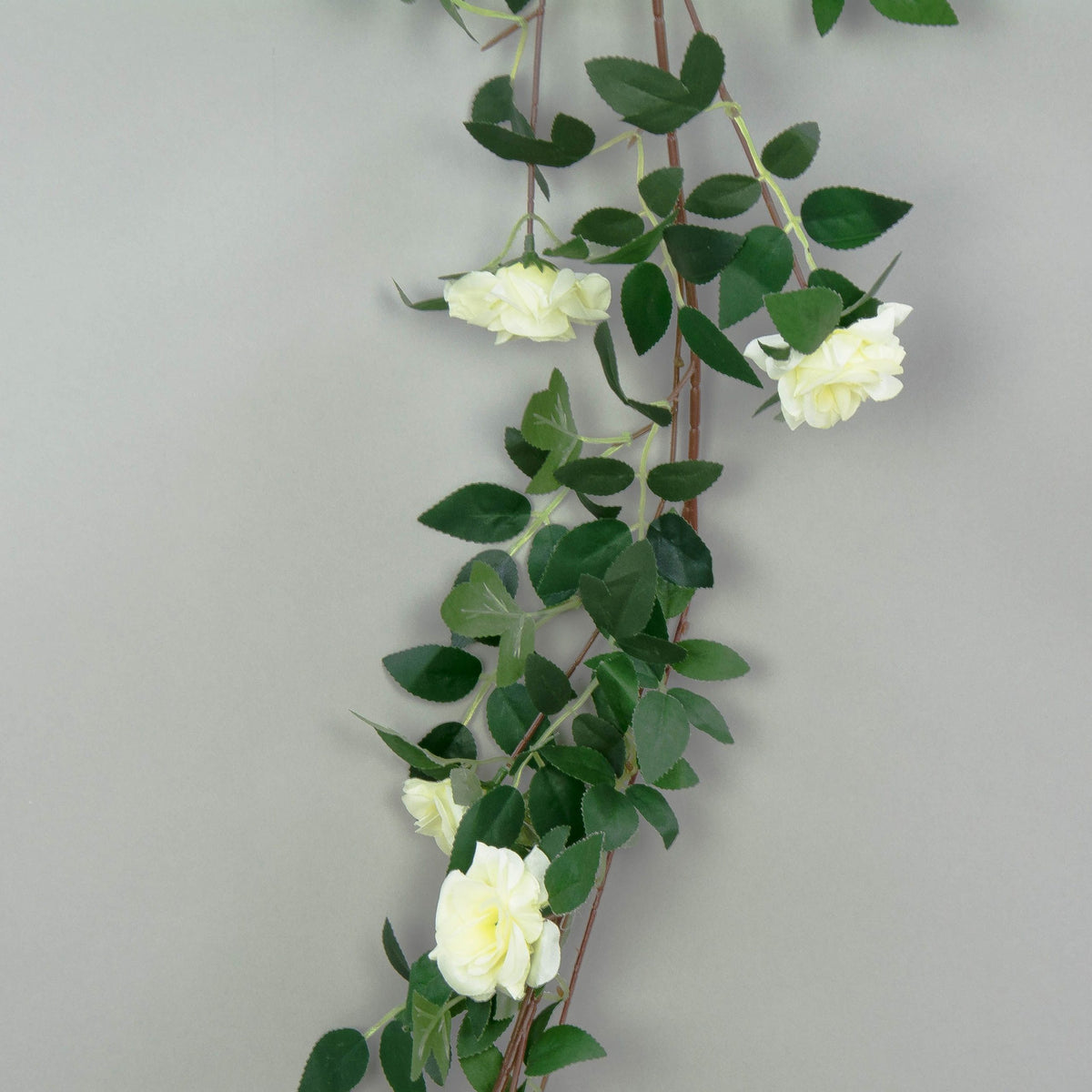 Kermanvärinen ruusu – tekoköynnös, 1.8 m