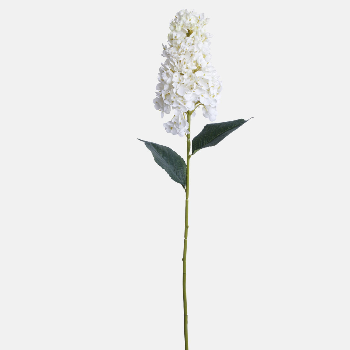 Kermanvärinen tekohortensian kukkavarsi, 79 cm