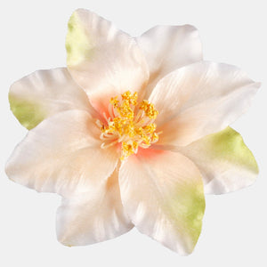 Persikka/vihreä/keltainen keskus