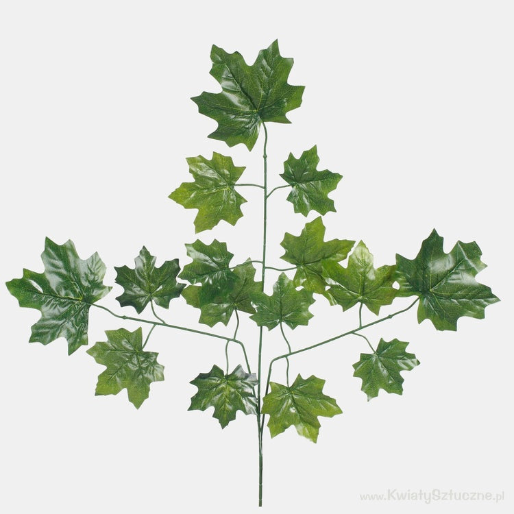 Vaahtera 3x5 Vihreä - Tekokukat.fi