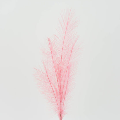 Koristeheinä – koristeheinä, 80 cm
