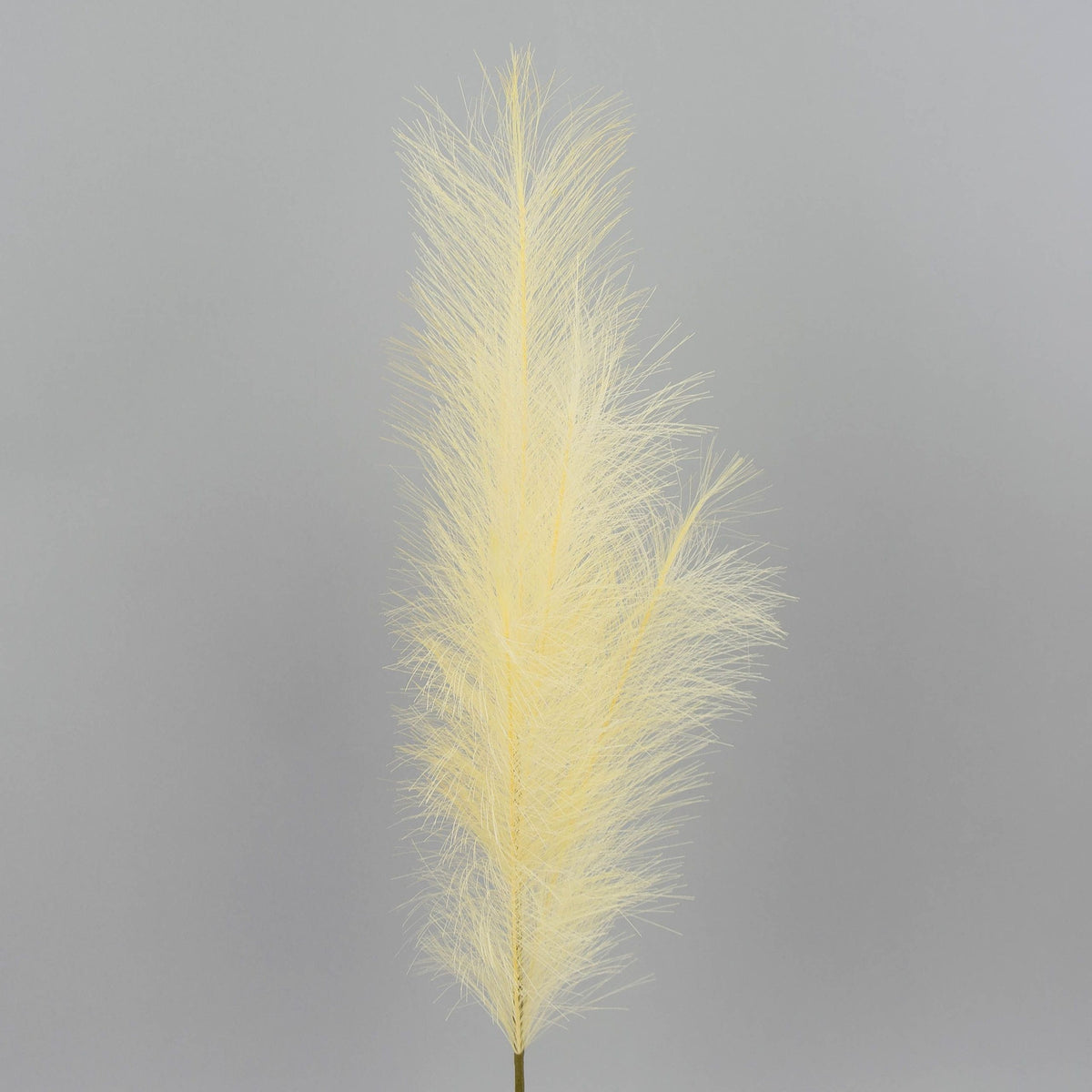 Koristeheinä – koristeheinä, 80 cm