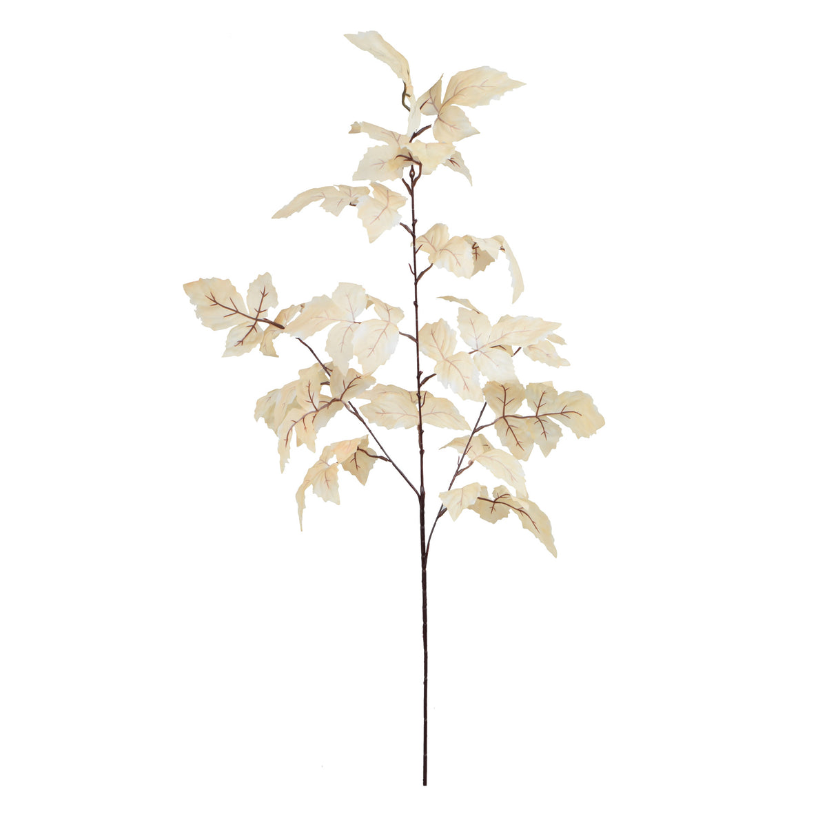 Koristeoksa, 100 cm
