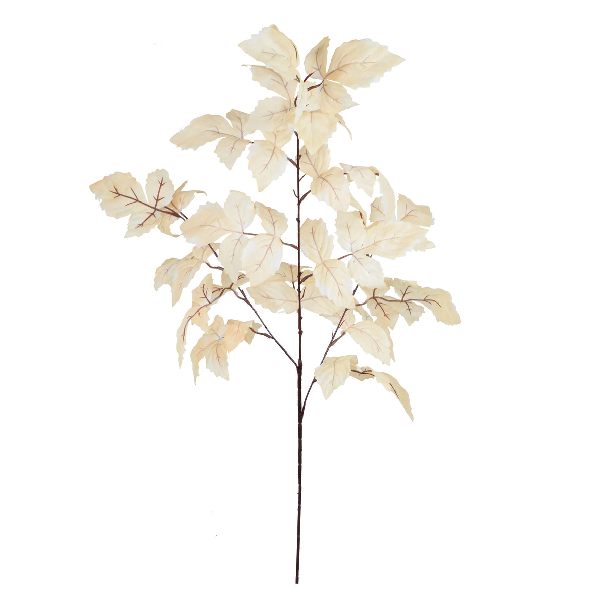 Koristeoksa, 100 cm