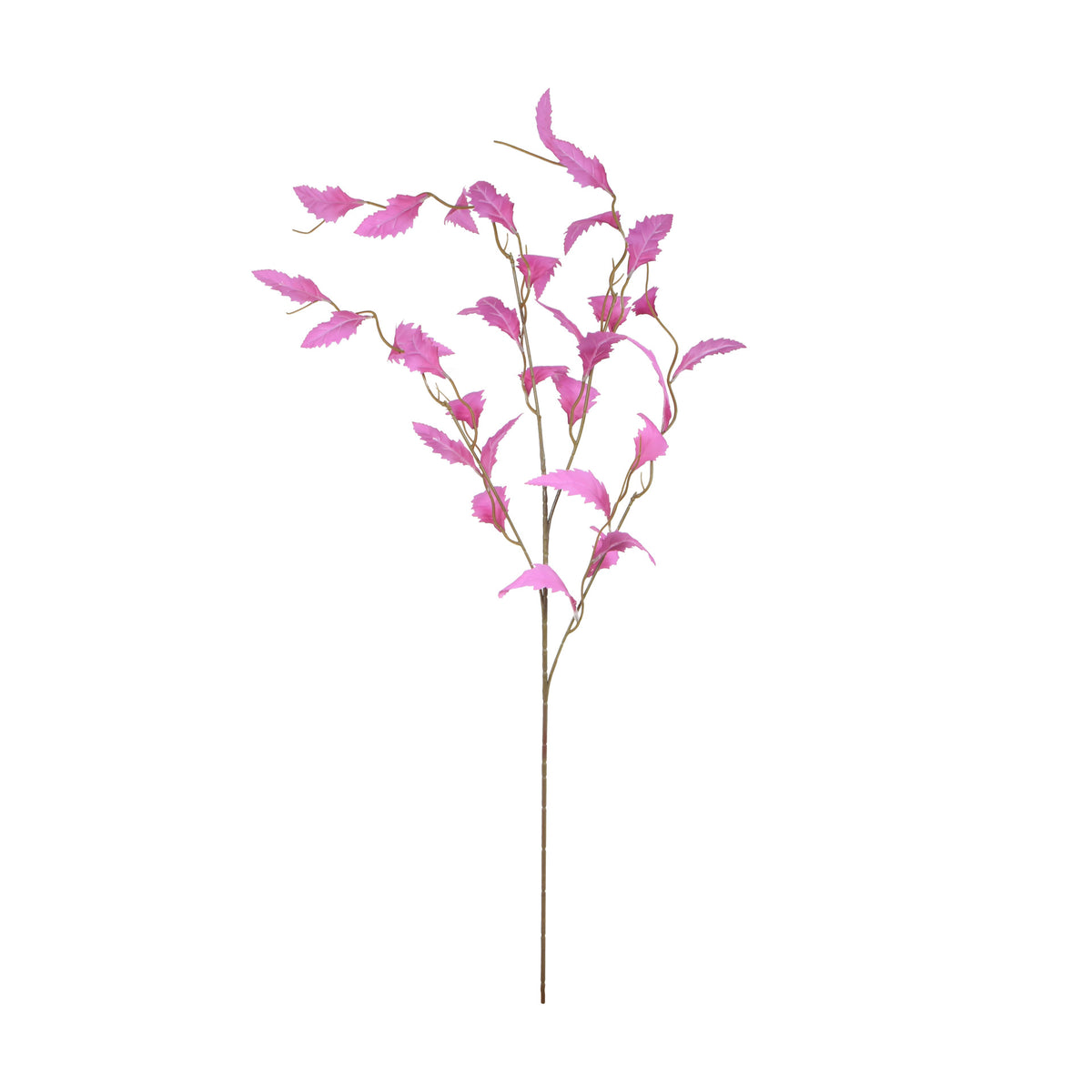 Koristeoksa, 105 cm