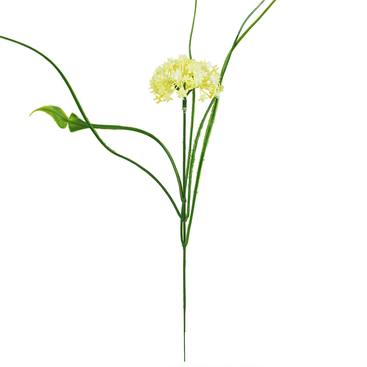 Koristeoksa, 31 cm