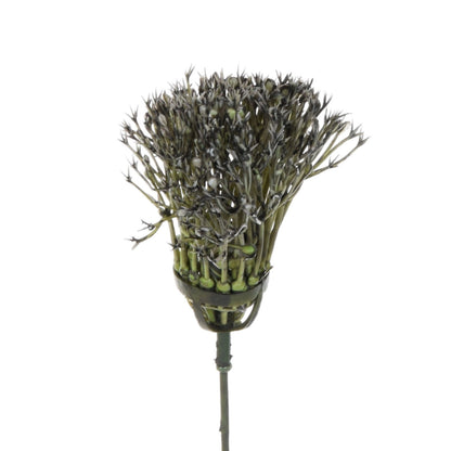 Koristeoksa, 37 cm