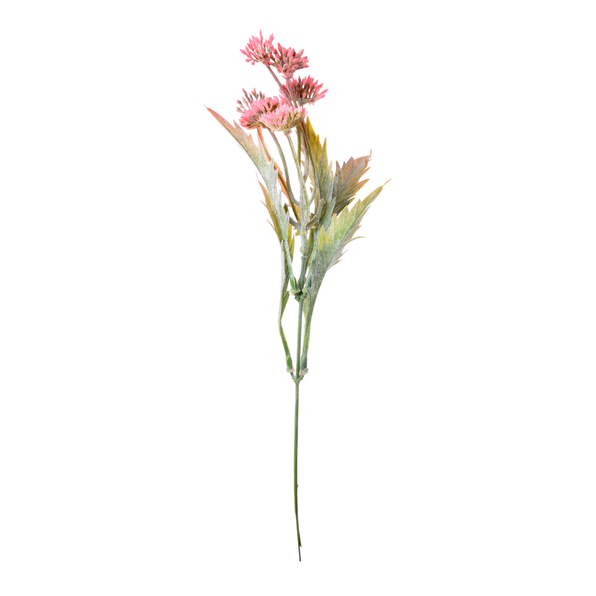 Koristeoksa, 39 cm