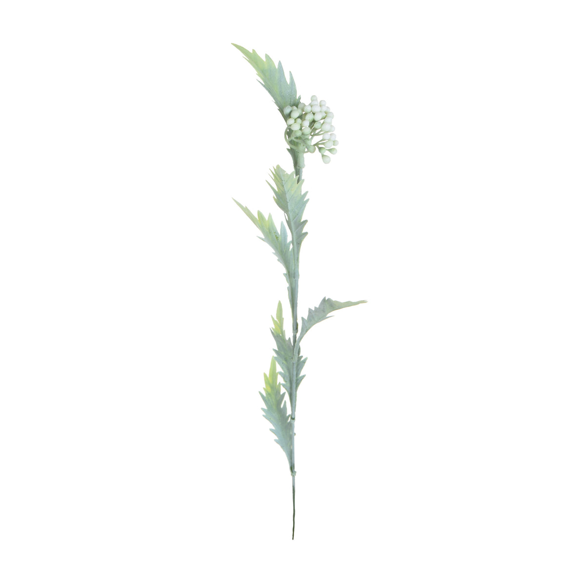 Koristeoksa, 53 cm