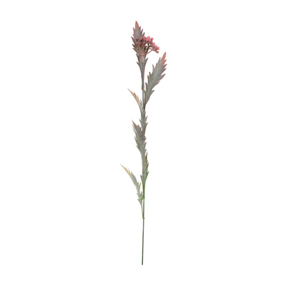 Koristeoksa, 53 cm