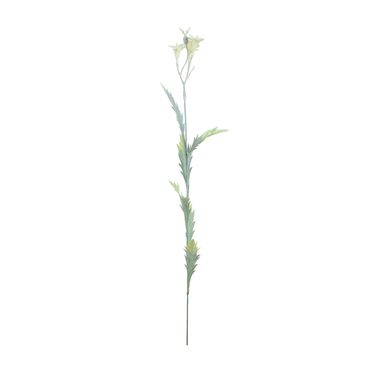 Koristeoksa, 59 cm