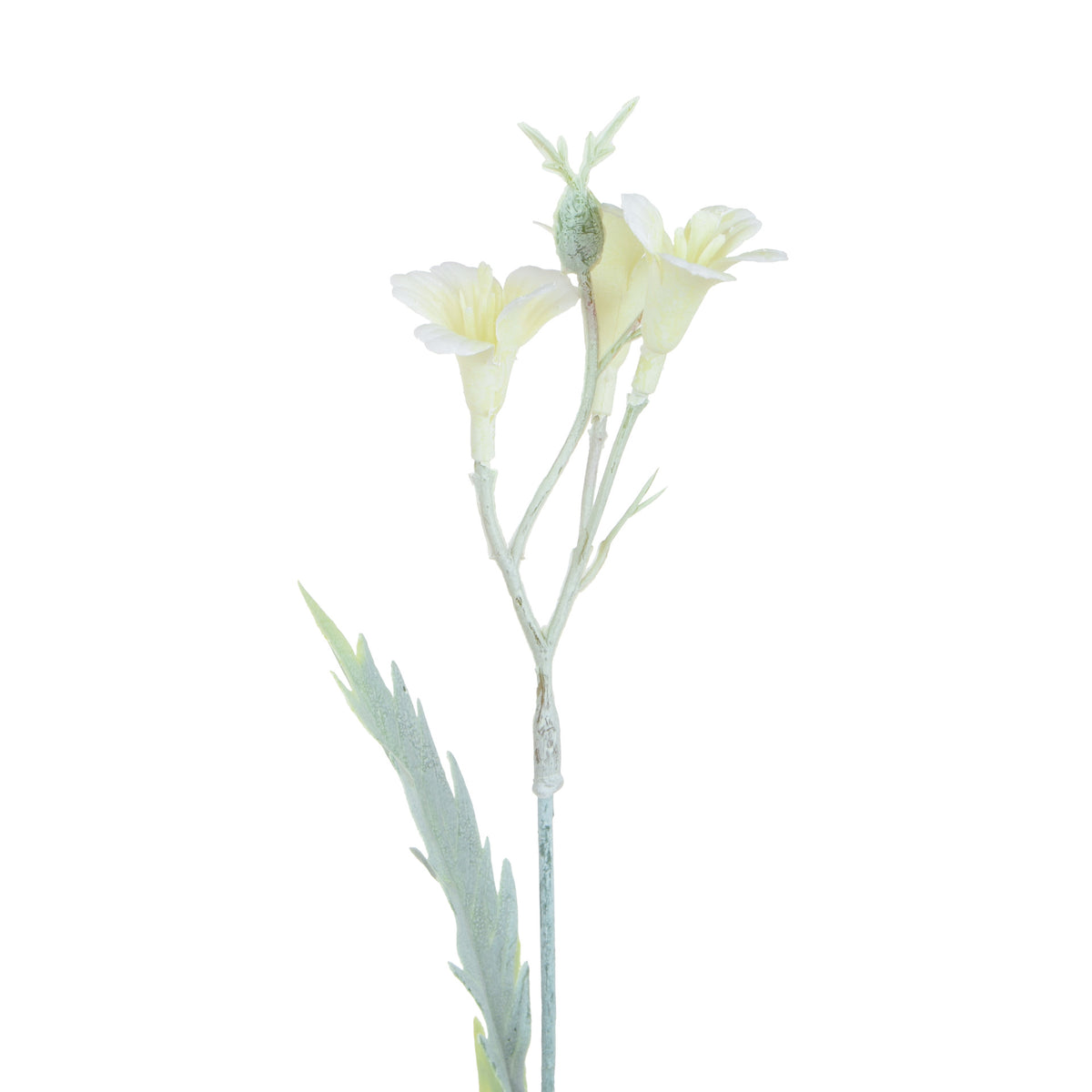 Koristeoksa, 59 cm