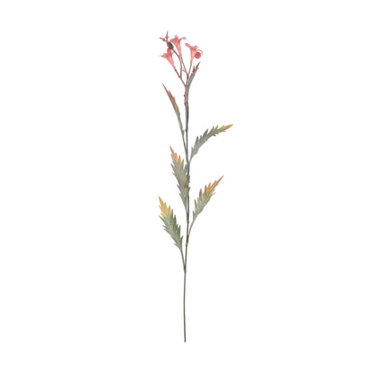 Koristeoksa, 59 cm