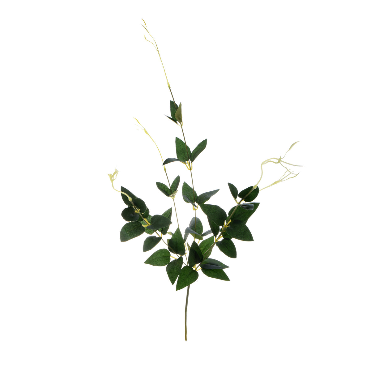 Koristeoksa, 70 cm
