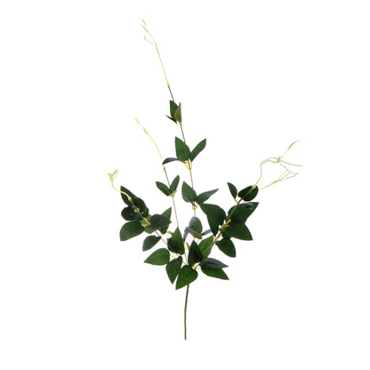 Koristeoksa, 70 cm