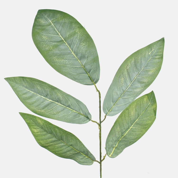 Pakkas pähkinä pakkasvihreä - Tekokukat.fi