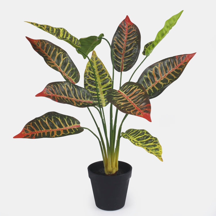 Croton ruukussa Pinkki/T.T... Vihreä - Tekokukat.fi