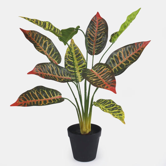 Croton ruukussa Pinkki/T.T... Vihreä - Tekokukat.fi