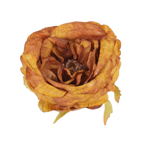 Kupari