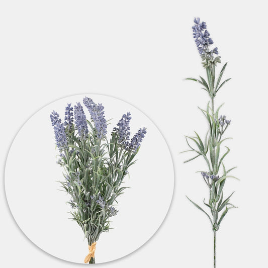 Laventeli violetti - Tekokukat.fi